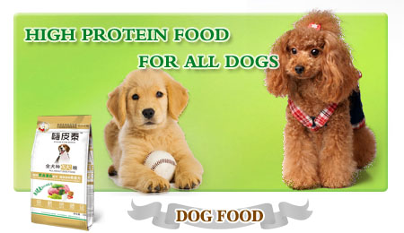 DOG FOOD